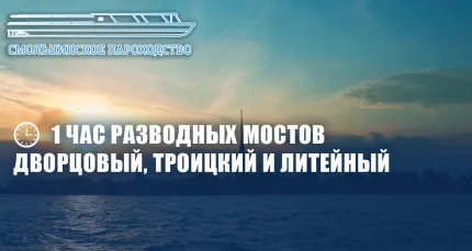 Скидки до 34% на ночную прогулку на теплоходе «Час разводных мостов»