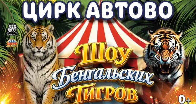 Скидки до 50% на билеты на «Шоу бенгальских тигров» в цирке «Автово»