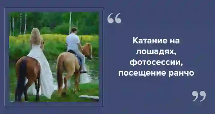 Катание на лошадях в СПб: прогулки по паркам и фермам
