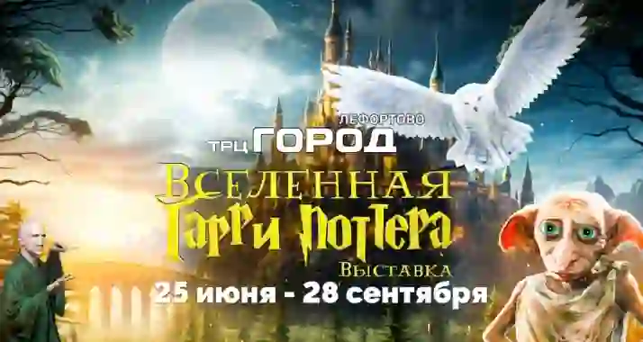 От 552 р. за билет на выставку «Вселенная Гарри Поттера»