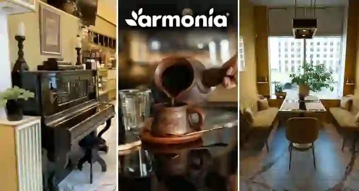 Скидка 50% на всю еду и напитки в ARMONIA gastrobar