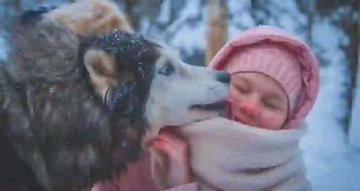 От 1400 р. за программу «Арктическая деревня» от Хаски-центра