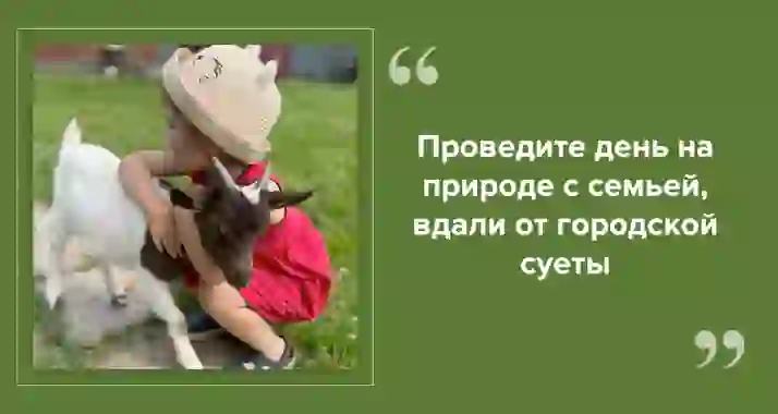 Как провести день на ферме