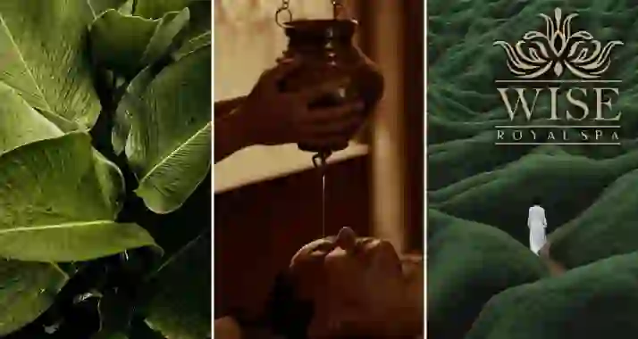 Скидки до 50% на программы в Wise Royal SPA на Маяковской