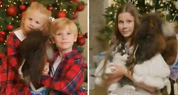 Скидка 40% на новогоднюю фотосессию «Хасенок и жеребенок»