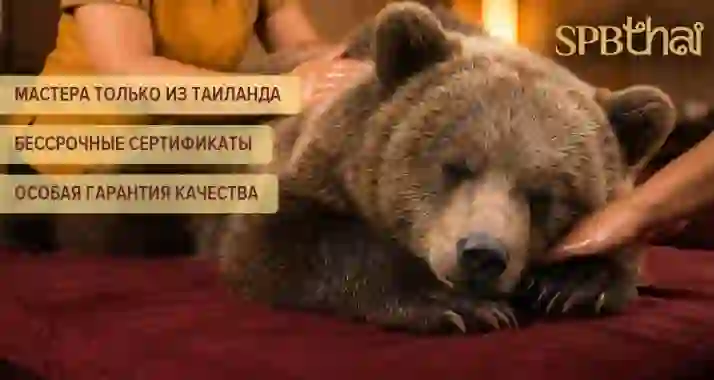 До -30% на сертификаты и программы в салонах тайского массажа SPBTHAI