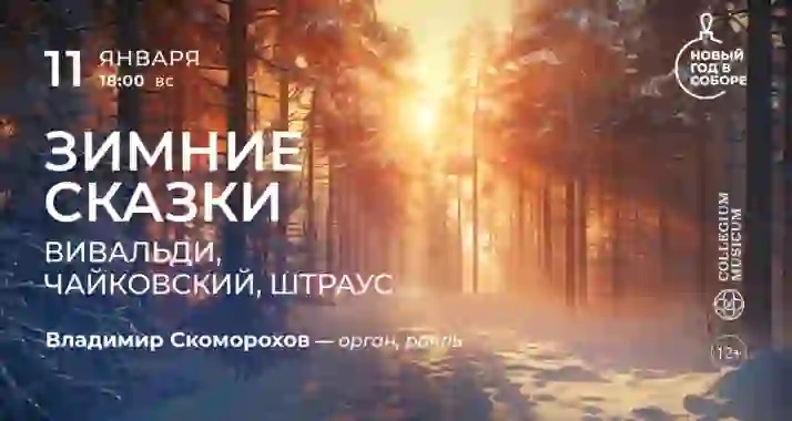Скидка 30% на концерт «Зимние сказки: Вивальди, Чайковский, Штраус»