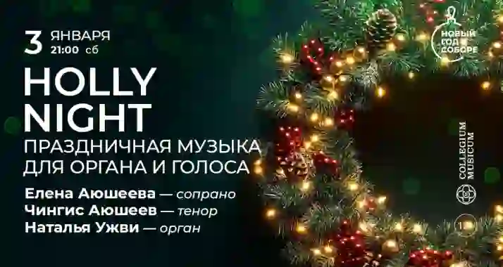 Скидка 30% на концерт «Holly night: праздничная музыка для органа и голоса»