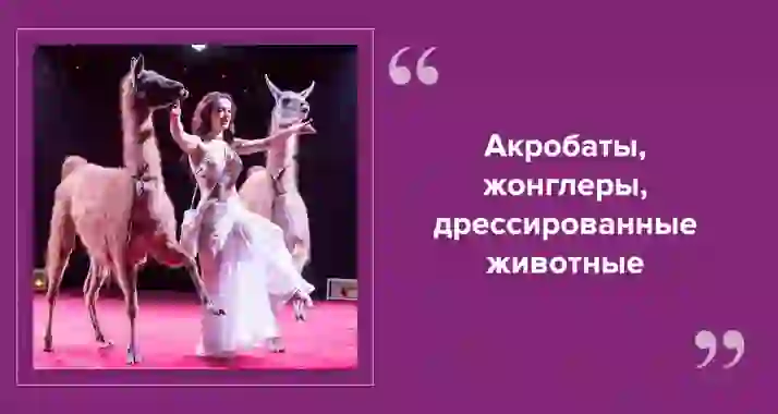 Новогодняя сказка в цирке «Автово»