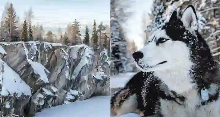 Скидка 35% на этно хаски-тур в Карелию