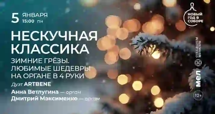 Скидка 30% на концерт «Нескучная классика: зимние грезы. Любимые шедевры на органе в 4 руки»