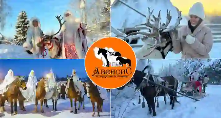 Скидка 34% на посещение ранчо «Авенсис» на новогодних каникулах