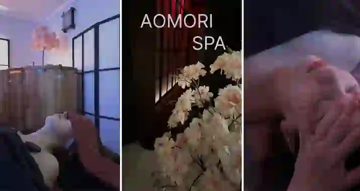 От 2500 р. за SPA-услуги в SPA-салоне «Аомори»