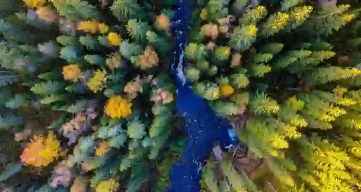 От 3250 р. за тур «Лучшее в Карелии» на 1 день