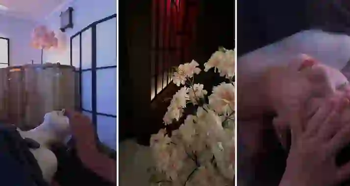 От 2500 р. за СПА-услуги в СПА-салоне «Аомори»