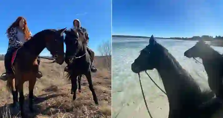 Скидки до 66% на конные прогулки