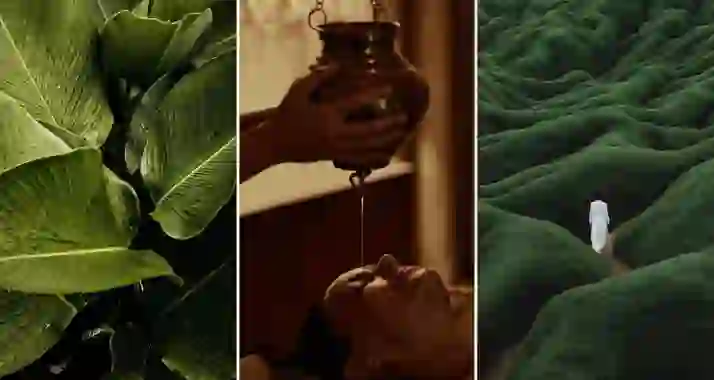 Скидки до 50% на программы в «Вайс Роял СПА» на Маяковской