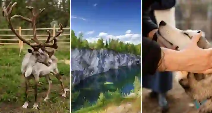 Скидка 35% на этно хаски-тур в Карелию