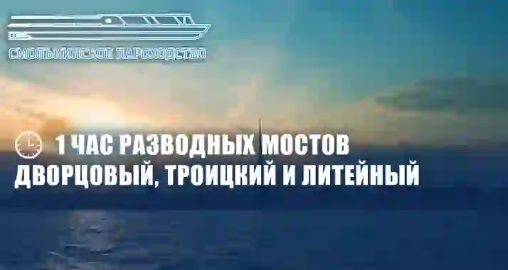 Скидки до 34% на ночную прогулку на теплоходе «Час разводных мостов»
