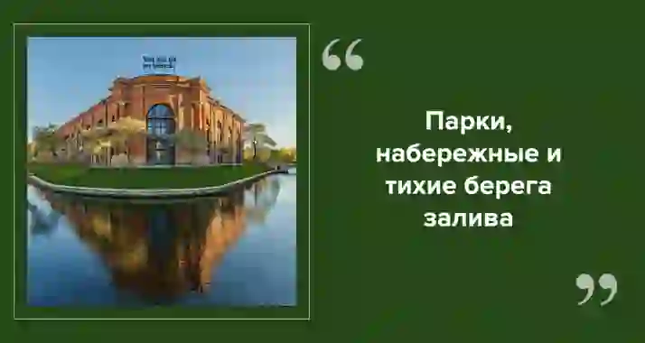 Где устроить пикник в Санкт-Петербурге