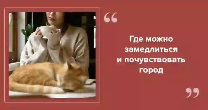 Необычные кафе Санкт-Петербурга: куда сходить не только за кофе
