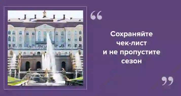 Лето в Петербурге: что успеть