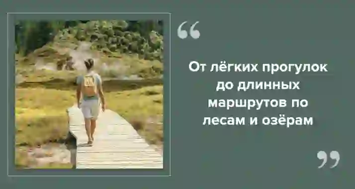 Эко-маршруты рядом с Петербургом