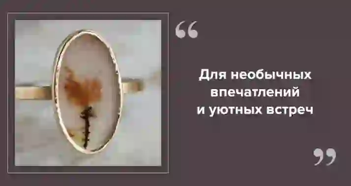 Куда сходить с мамой в Петербурге: идеи для совместного дня